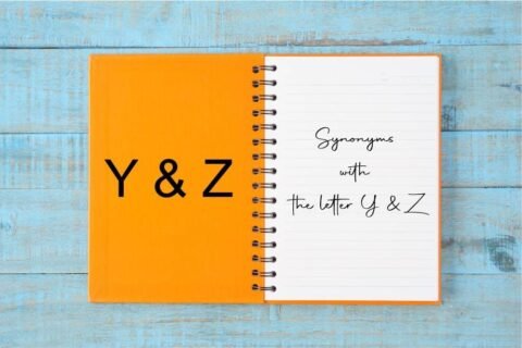 Synonyms with the letter Y Z